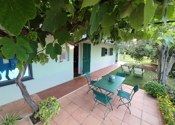 Independent Apartment With A Fabulous Patio - Casa Penny